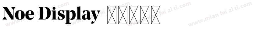 Noe Display字体转换